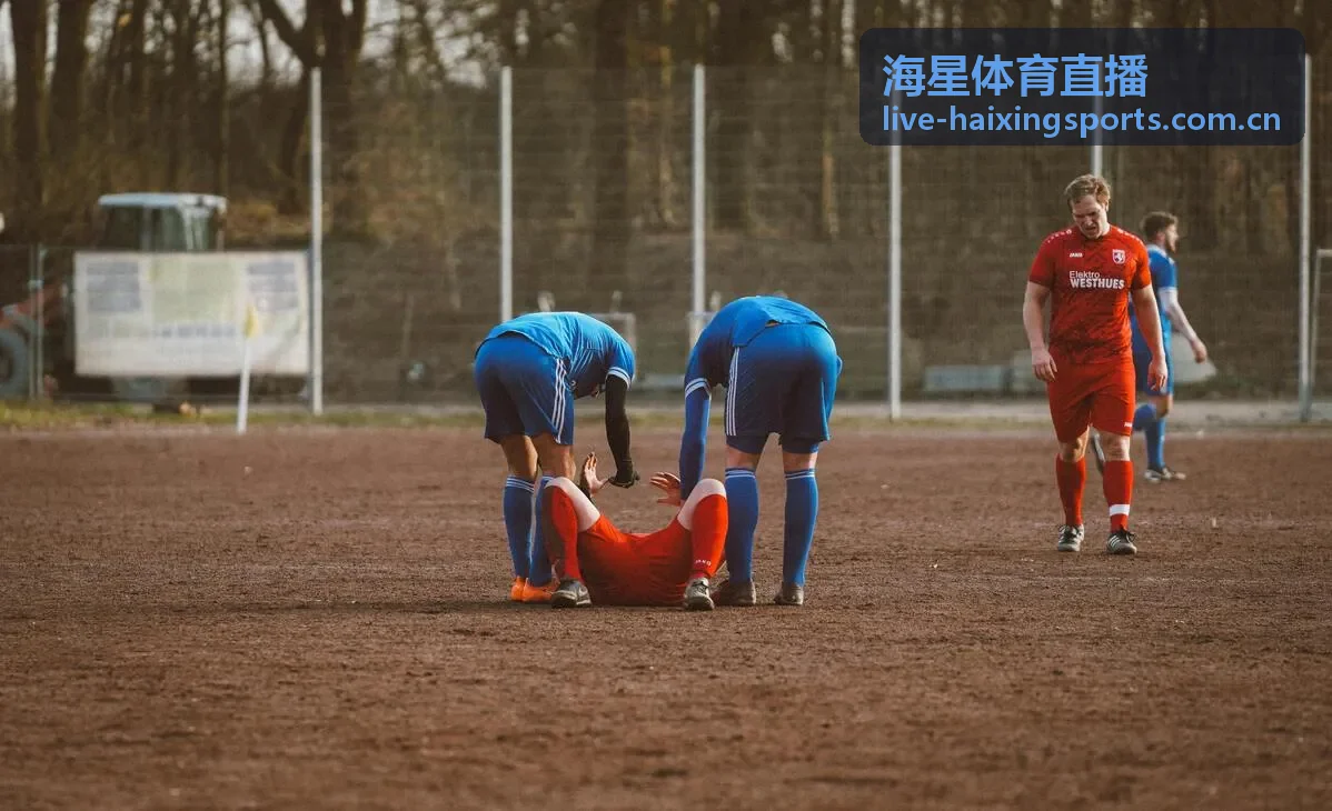 海星体育直播综合赛事服务